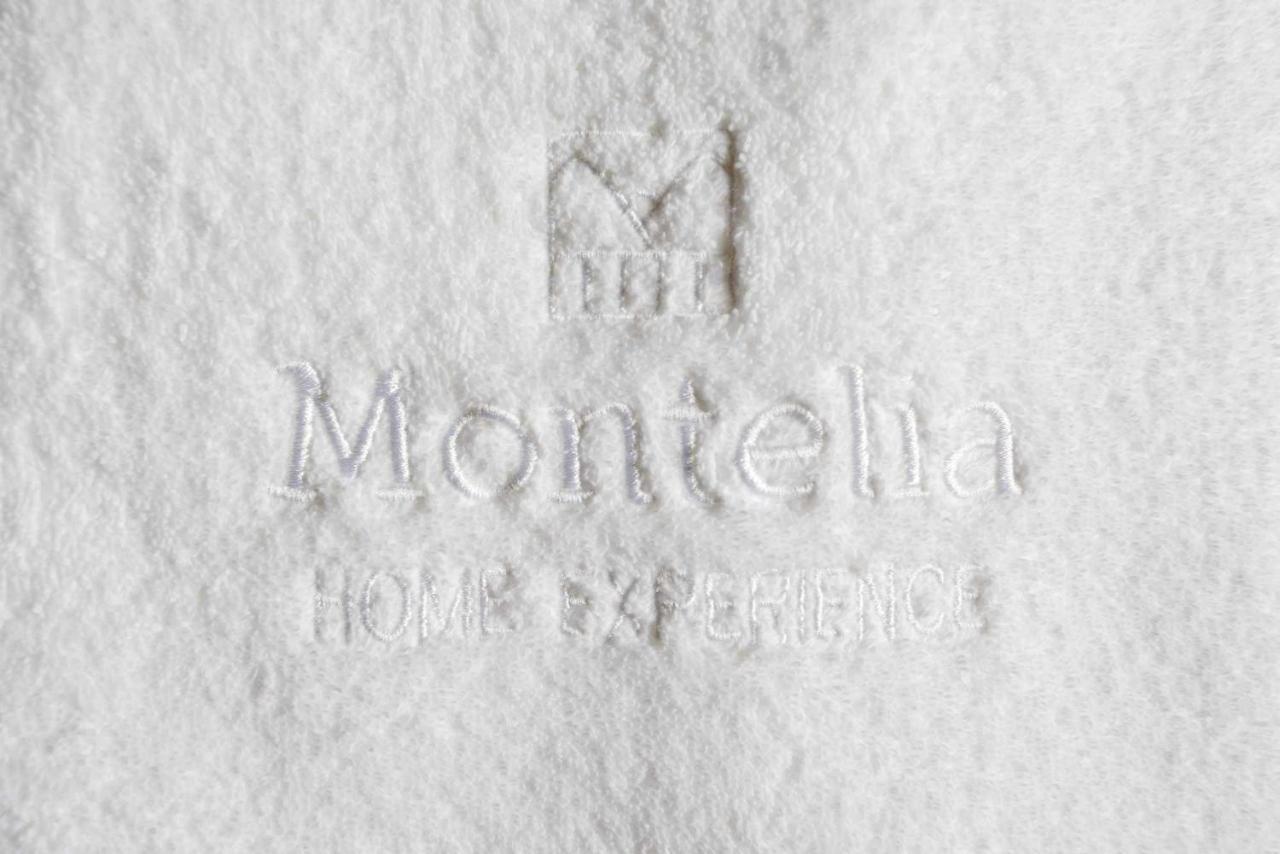 Appartement Montelia Atico El Ciervo De Panticosa Extérieur photo